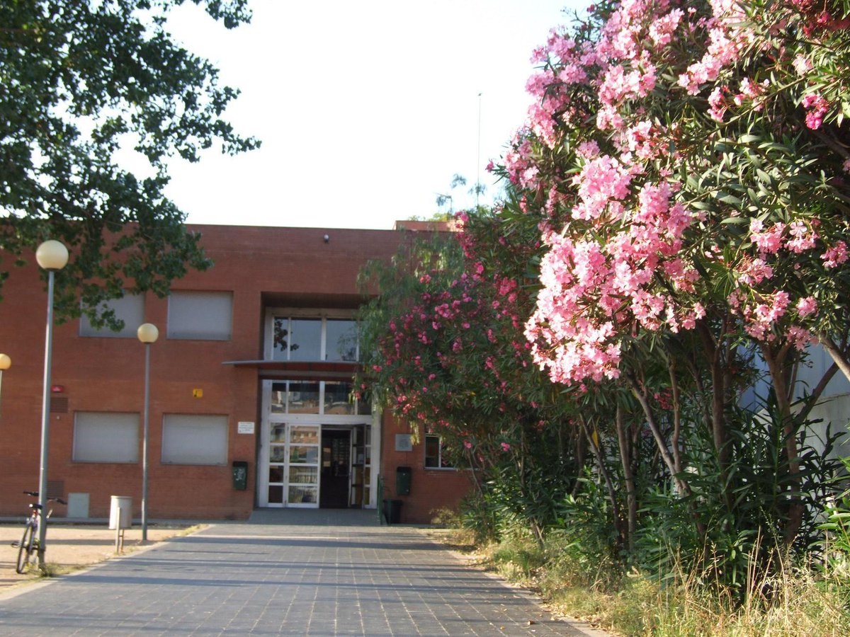 👉Centres escolars👈
El regidor de D'Educació ha afirmat que està previst tots els centres escolars de primària de #Castelldefels obrin aquest matí