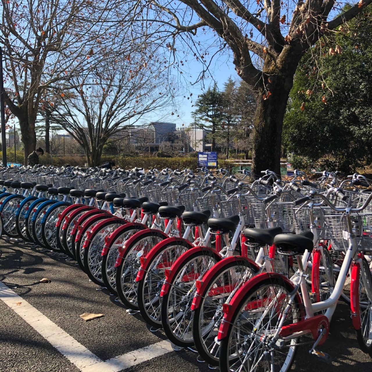 国営昭和記念公園 ただいまサイクルセンターでは新しい自転車 の入替作業を行っています 皆様に気持ち良くご利用いただくためにスタッフ総出で頑張っています ここ数日はあいにくのお天気ですが 雨が止んだらぜひ 昭和記念公園でサイクリングを