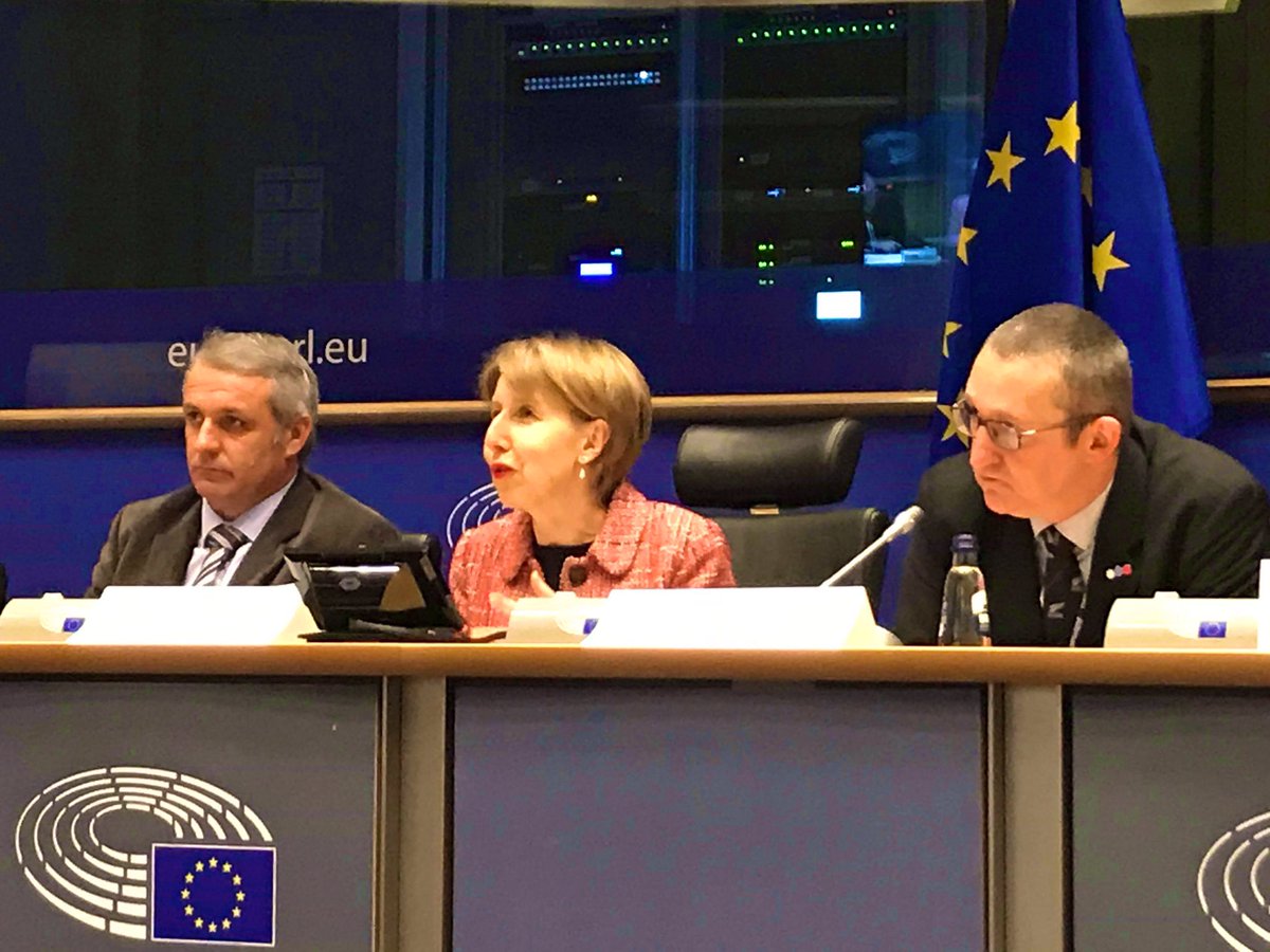 AgriProgress's tweet photo. @ASanderMEP: ‘Nous souhaitons un cadre scientifique clair’. ‘Il faut préciser, prévoir une étude d’impact avant de prendre des décisions. Les agriculteurs ont un role clé à jouer et feront partie de la solution au changement climatique’ #GreenDeal #FarmToFork #BreakFastCycle https://t.co/TeIfTI3a61