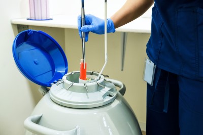 Se denomina baja reserva ovárica cuando el recuento de óvulos que tiene una mujer disminuye y por tanto aumentan las posibilidades de no poder quedarse embarazada de manera natural.

💟mtr.cool/lyixbfecek💟

#mifertilidad #infertilidad #infertilpandy