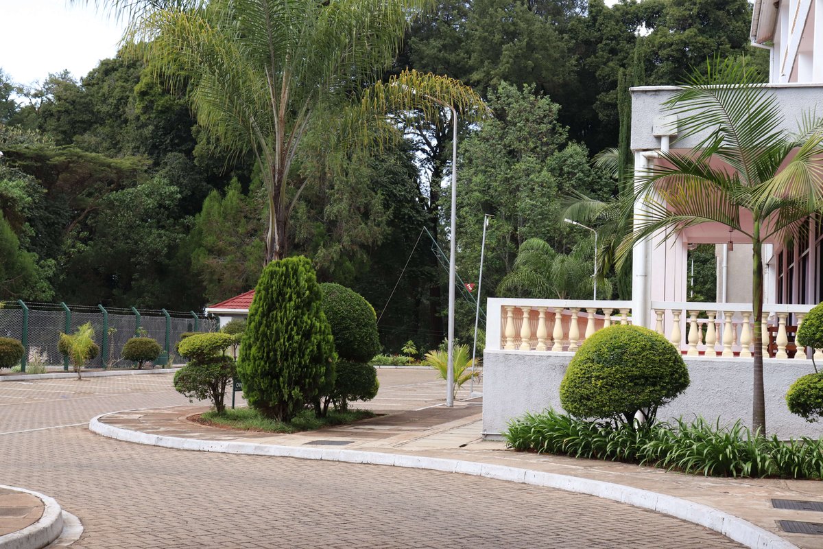 rifthills's tweet photo. Looking for a place to recharge and chant your way forward? look no further rift valley hills resort offers a tranquility and serenity. Book with us today.  
Call: 0791 298 722
Email: info@lakebogoria-hotel.com
#riftvalleyhillsresort #accomodation #serenity #baringo #tranquilty https://t.co/zLHnXNWVFZ