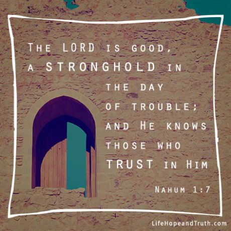 stcolumbasP's tweet photo. Today is the day to seek the mercy of God!

NOTHING is more valuable than your soul.
.
#christianity #jesus #christian #god #bible #faith #jesuschrist #church #love #christ #holyspirit #gospel #prayer #bibleverse #biblestudy #scripture #faith #hope #grace https://t.co/Osa571aNuV