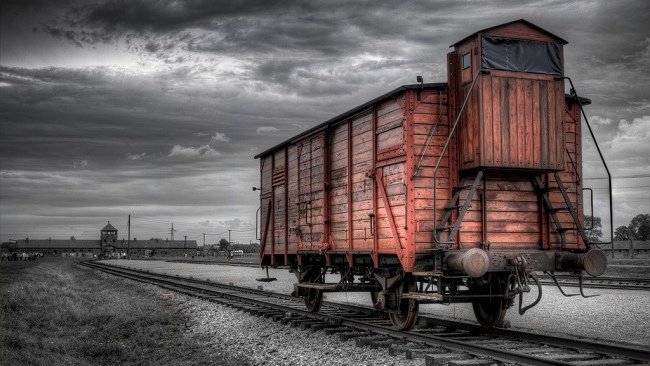 pulcepalma's tweet photo. #Auschwitz

Dimenticare l'Olocausto è uccidere due volte.

To forget a Holocaust is to kill twice.

                       Elie Wiesel https://t.co/2DNaKrLZTS