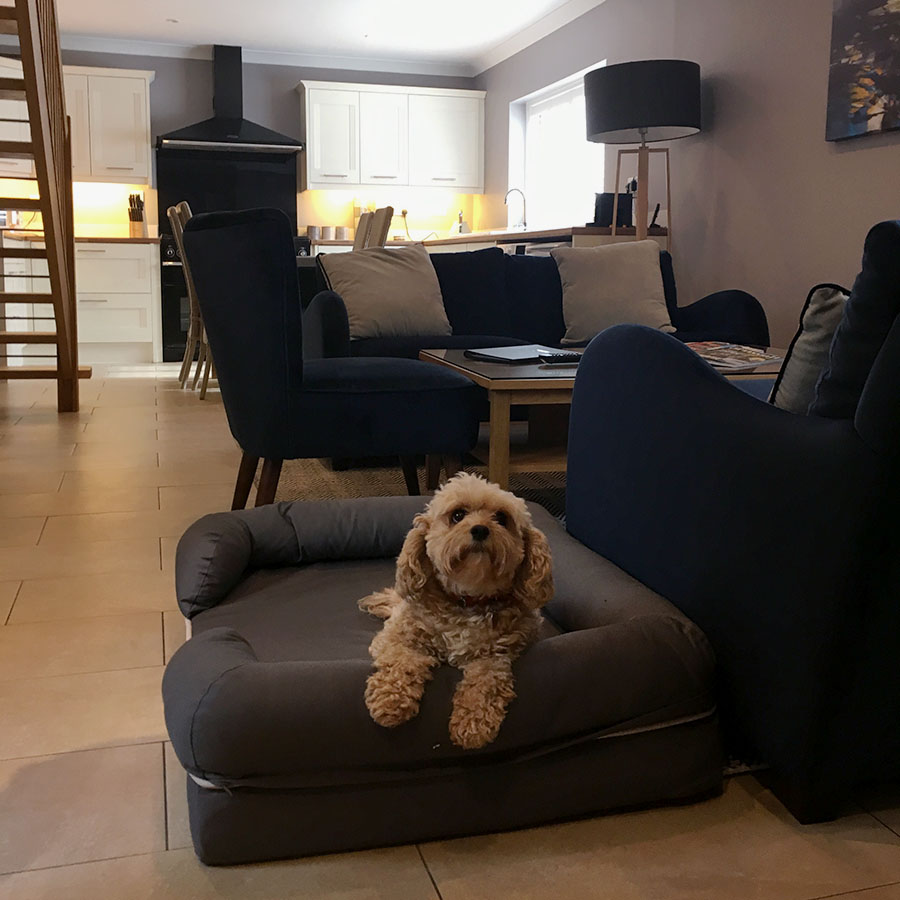 The Retreat is our superbly-finished dog friendly suite, where dog owners can enjoy a hotel break with us, before exploring the numerous beaches nearby. Find out more about a dog-friendly Bude: thebeachatbude.co.uk/dog-friendly-b…