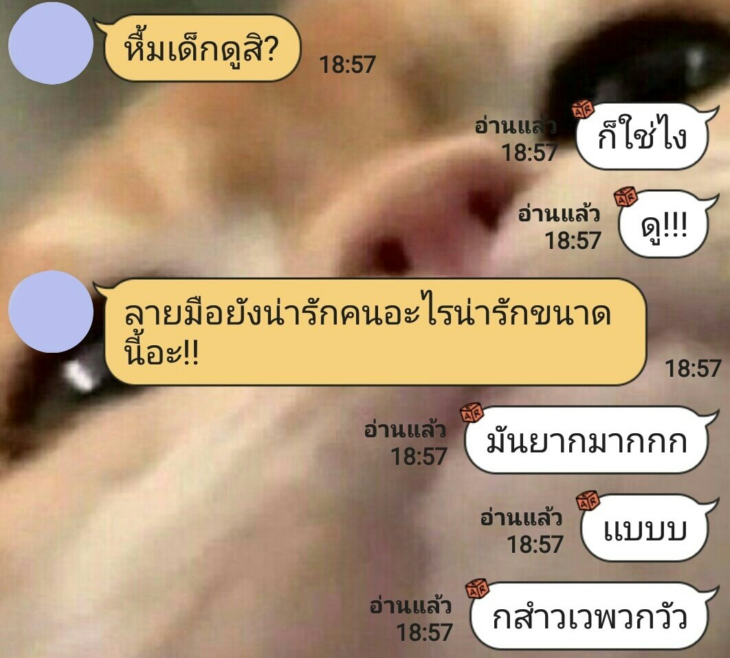 โพจะขิงเด็ก tweet media