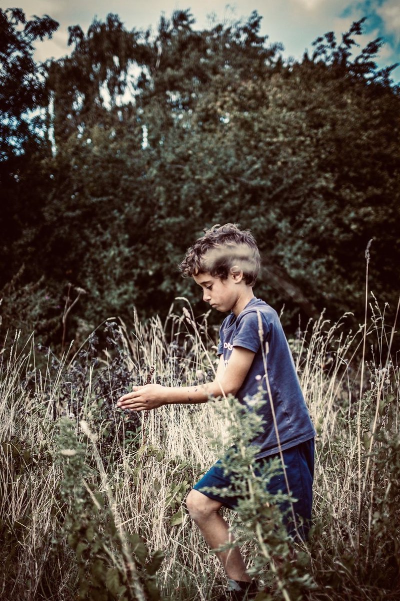 Our heritage and the language that runs through it is as much about the land, the wildlife and the people who express, represent and embody it than anything else and a richer experience gives our visitor richer language. 🌱💥💫