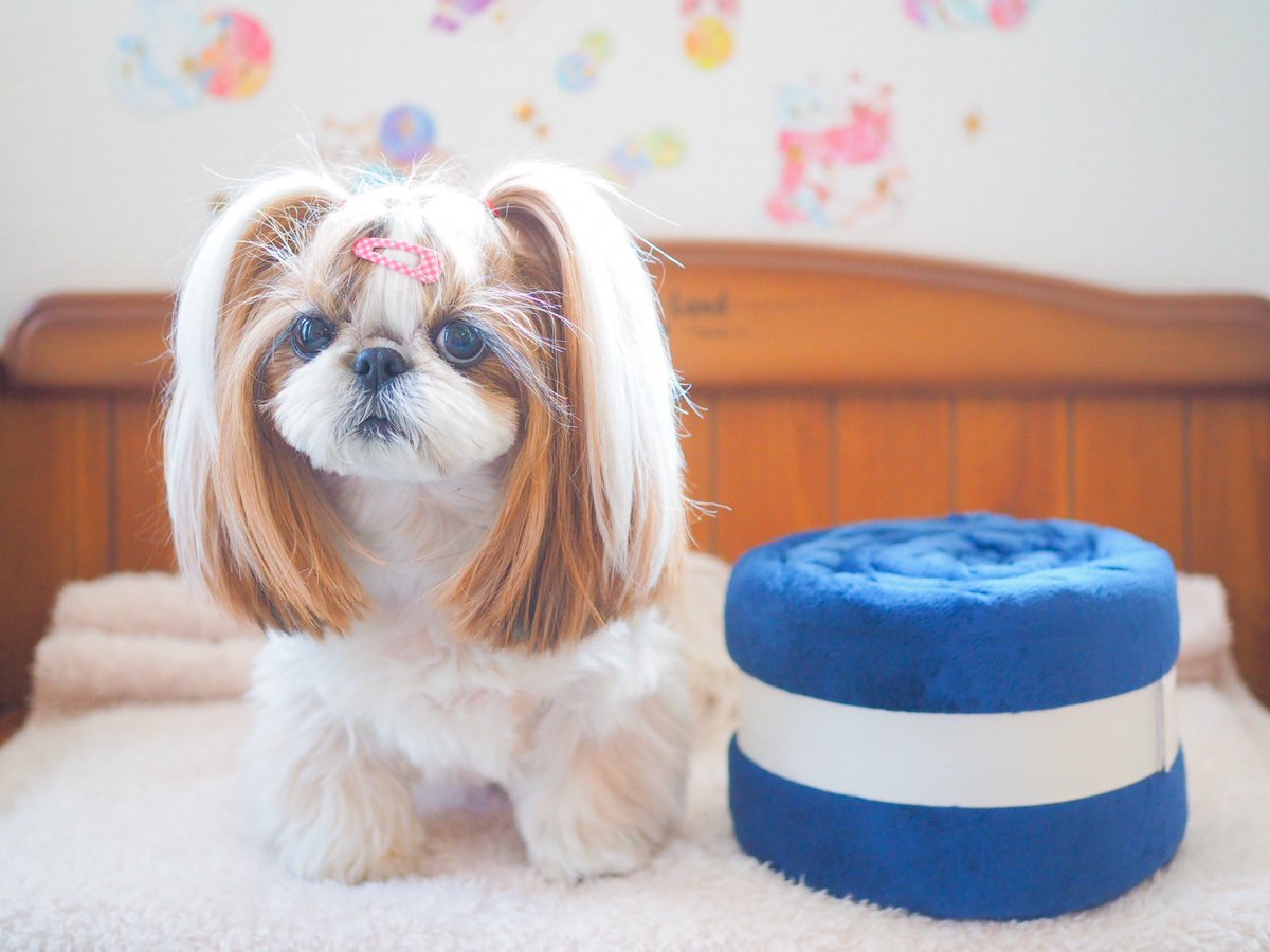 ツイスト ピロー