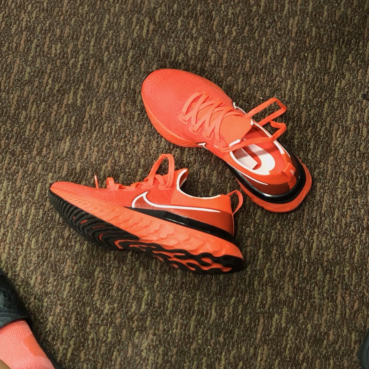 aregards's tweet image. ✨ #infinityreact