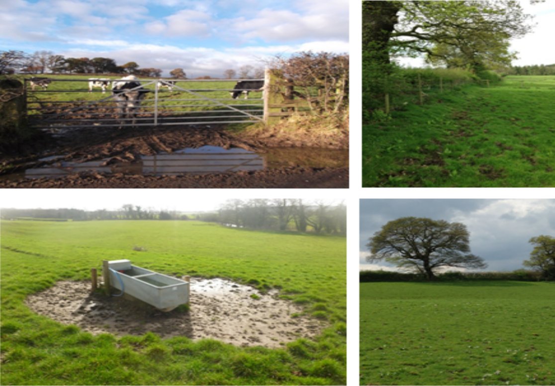 NERC_NFM's tweet photo. Our next #NFM #soilsecurityprogramme webinar will be on land management &amp; catchment flood risk with our partner Dr Ian Pattison. 17 Feb 12:30 GMT https://t.co/DMHk9MJAf6 @GoWithTheF1ow @FCRMResearchEA @Soil_Security
@FWAGAssoc @agricology @NFUtweets @NERCscience https://t.co/KeRcjgjjaN