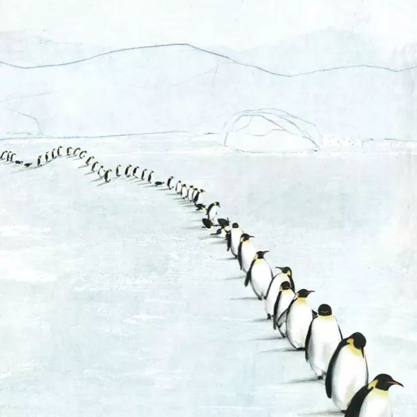 EdsElephants's tweet photo. ❄️ IMAGES D'HIVER

Partir vers de lointaines contrées en attendant de revenir... au printemps !

Illustration de Jenni Desmond extraite de Migration

Redécouvrez cet album : https://t.co/OwJeOs7K90 https://t.co/ODAcq8MXED