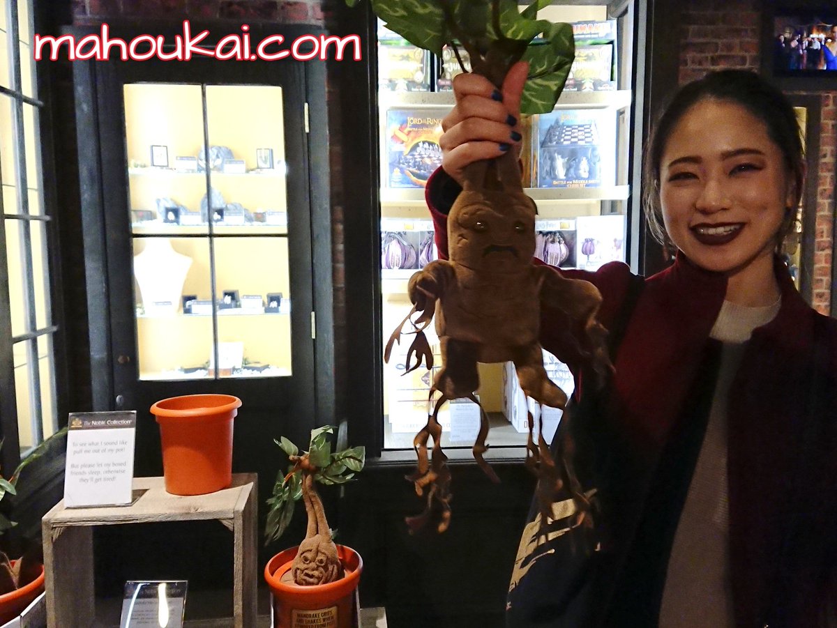 パンケーキマン ダンブルドア على تويتر マンドレイクも似合う素敵な笑顔ですね