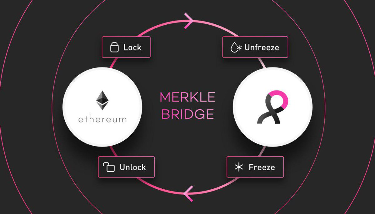 aergo_io's tweet photo. Aergo Merkle-Bridge (Testnet) RELEASED 🌉

In this video tutorial we'll show how you can convert testnet
AERGO ERC-20 ⇄ AERGO MAINNET and back at https://t.co/eX1B2je5PV

Full video guide:
https://t.co/jjXgMc46gl

#Aergo #MerkleBridge #EnterpriseBlockchain #ERC #Blocko https://t.co/Gc8sByvYhL