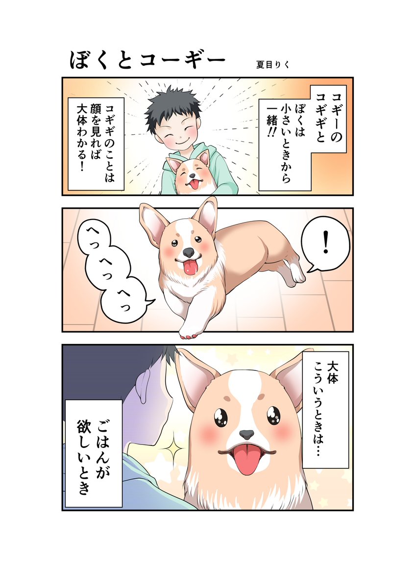 コギギワン。

#ぼくとコーギー #コギギ #コーギー 
