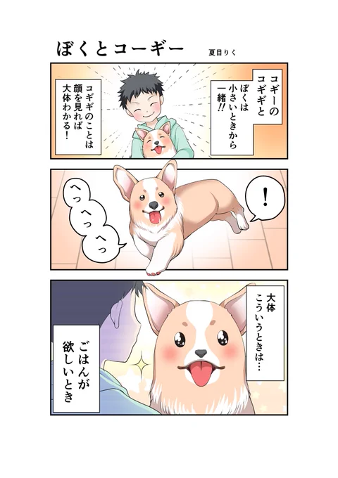 コギギワン。

#ぼくとコーギー #コギギ #コーギー 