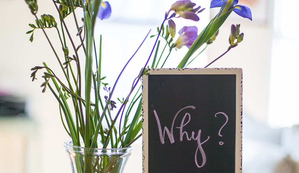 How much does your company purpose have to do with employee retention? It turns a lot. Find out why and discover what you can to do use your to recruit and retain https://www.recruiter.com/i/heres-what-actually-makes-your-employees-stay/ #employeeretention #employeedevelopment #employeeengagement