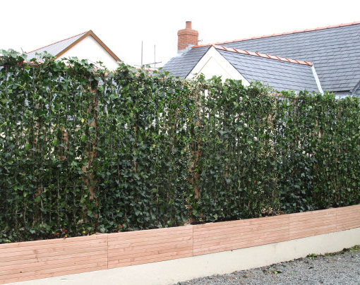 ThePeterBelton's tweet photo. A little privacy please! We can help you feel private & sheltered from your neighbour's view with instant Ivy Green Screens. For more inspiration head to ➡️ https://t.co/dn372mx9q2
#privacyscreening #gardendesign #privacy #noseyneighbours #privacyfence https://t.co/ZC9uCVHyc5