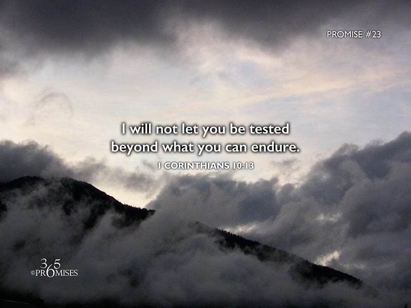 SteveHortman's tweet photo. Thursday, January 23rd
(The Lord GOD HELPS You Get THROUGH the STRUGGLE... ) https://t.co/geiZS7yKEn
