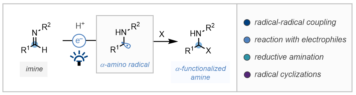 dixon_group's tweet photo. Great to see our review about the creation and manipulation of alpha amino radicals through the single electron reduction of imine derivatives is now out in @ACSCatalysis. Congrats to team photoredox 🎉@JamieLeitch165 @tanya_rogova @TRossolini #japm
https://t.co/MooELiW2nJ https://t.co/fxInxx63CF