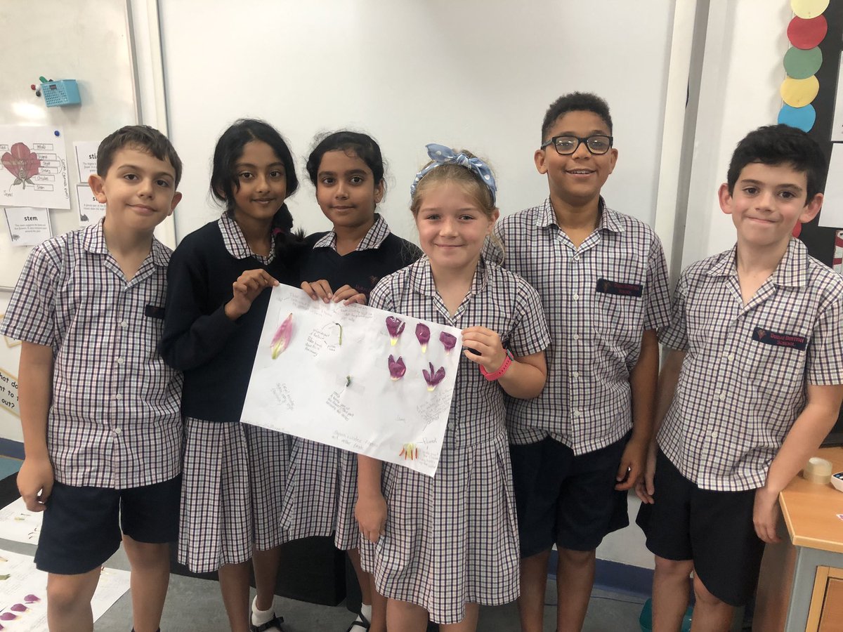 DBS_Year5's tweet photo. 5B have been dissecting plants in order to investigate the life process of a flowering plant! 💐 #science #BeginsAtDBS @DubaiBritishSch @Taaleem https://t.co/8KSKhTh99k