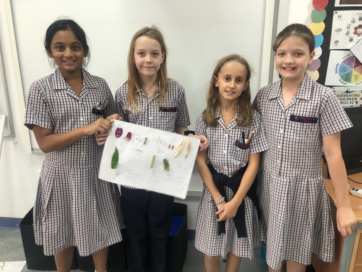 Year 5 | Dubai British School tweet media
