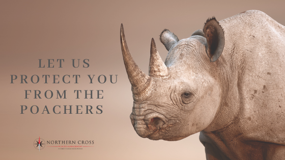 NCWM_'s tweet photo. Let us protect you from the poachers

Northern Cross Wealth Management:
https://t.co/TdD3zeNaJX
Contact us on:
info@northerncrosswealth.com
+27 (0) 21 200 585

#financialplanning #2020Vision #offshorewealth #investments #estateplanning #financialwellbeing #africa #rhino #poachers https://t.co/Yih2BKmVA3