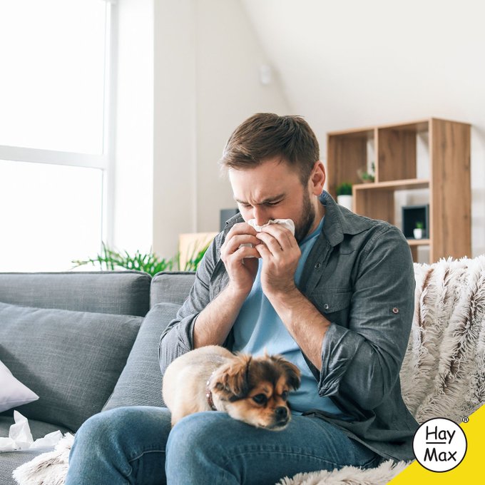 HayMaxAustralia's tweet photo. Don't sit in silence and suffer from pet allergies! 
Did you know our HayMax balm creates a protective barrier in your nose to stop airborn irritants entering your nose and causing cold-like symptoms?!
#HayMax https://t.co/4seREaHEka
