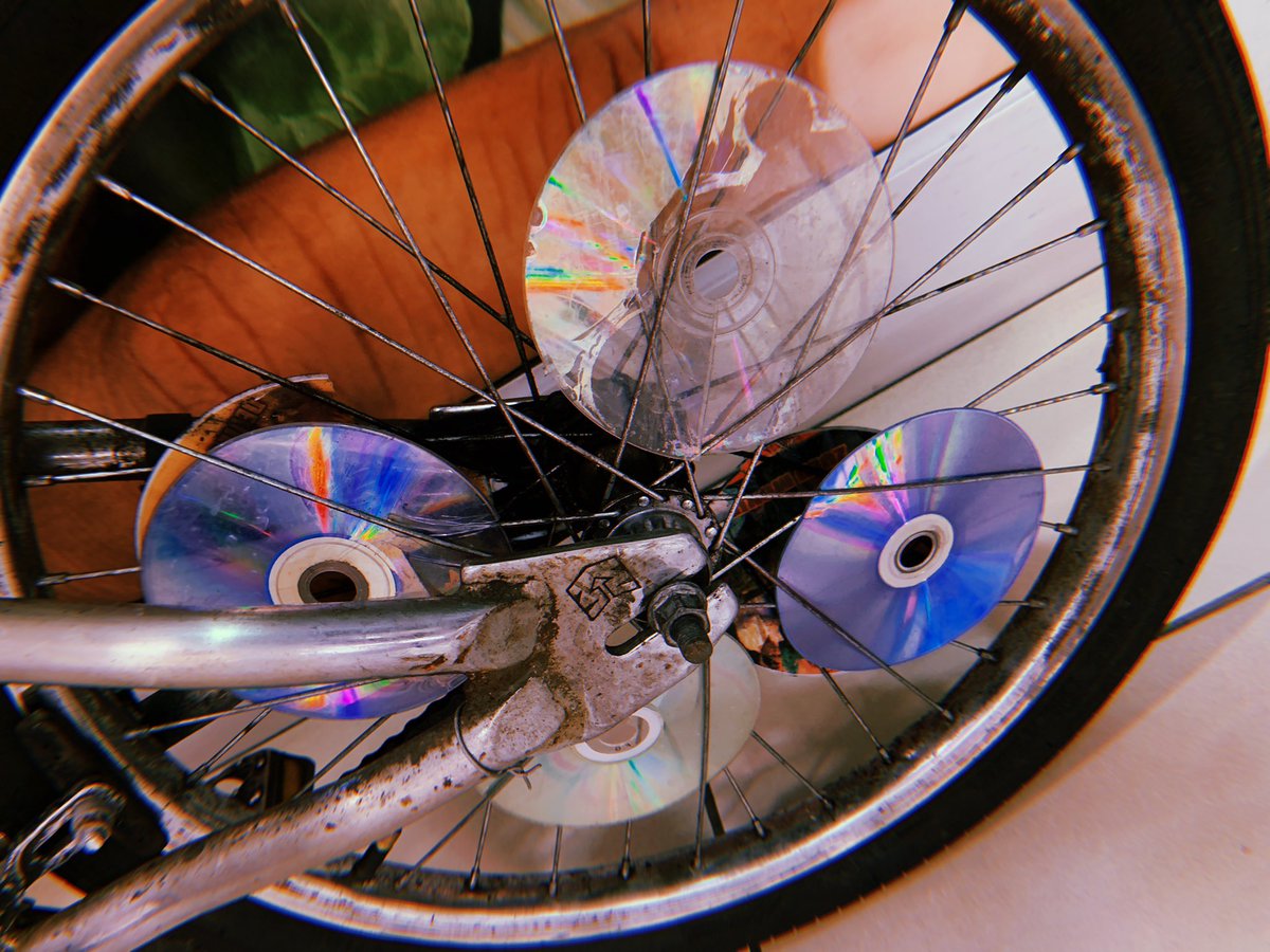 compact disc biking club