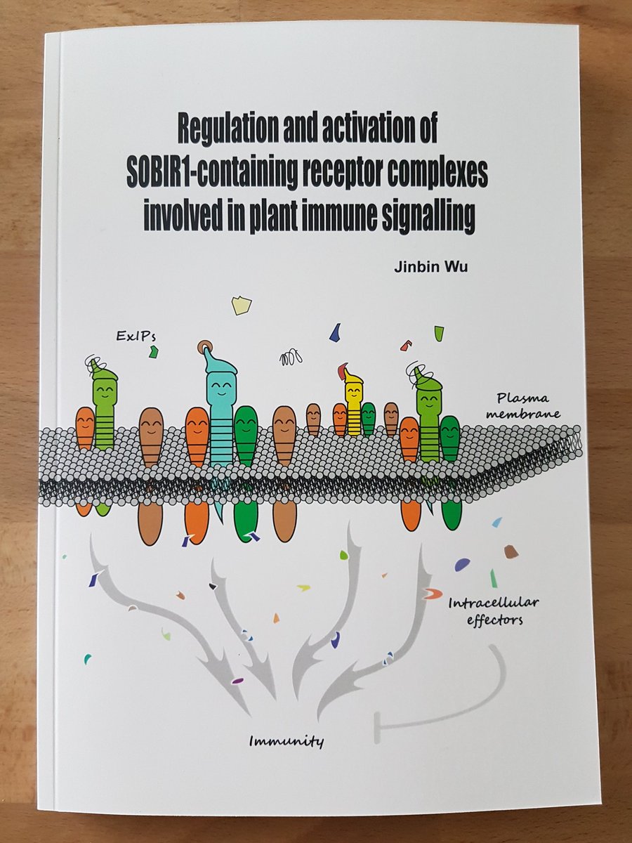 Team_Thomma's tweet photo. Here it is: freshly printed PhD thesis of @Jinbin_Wu on the role of SOBIR1 in plant immunity, supervised by #WU_PHYTO Matthieu Joosten, to be defended in public on 3 Feb 16:00 hr @WURplant @EPSGradSchool https://t.co/C4o4bcEfkl