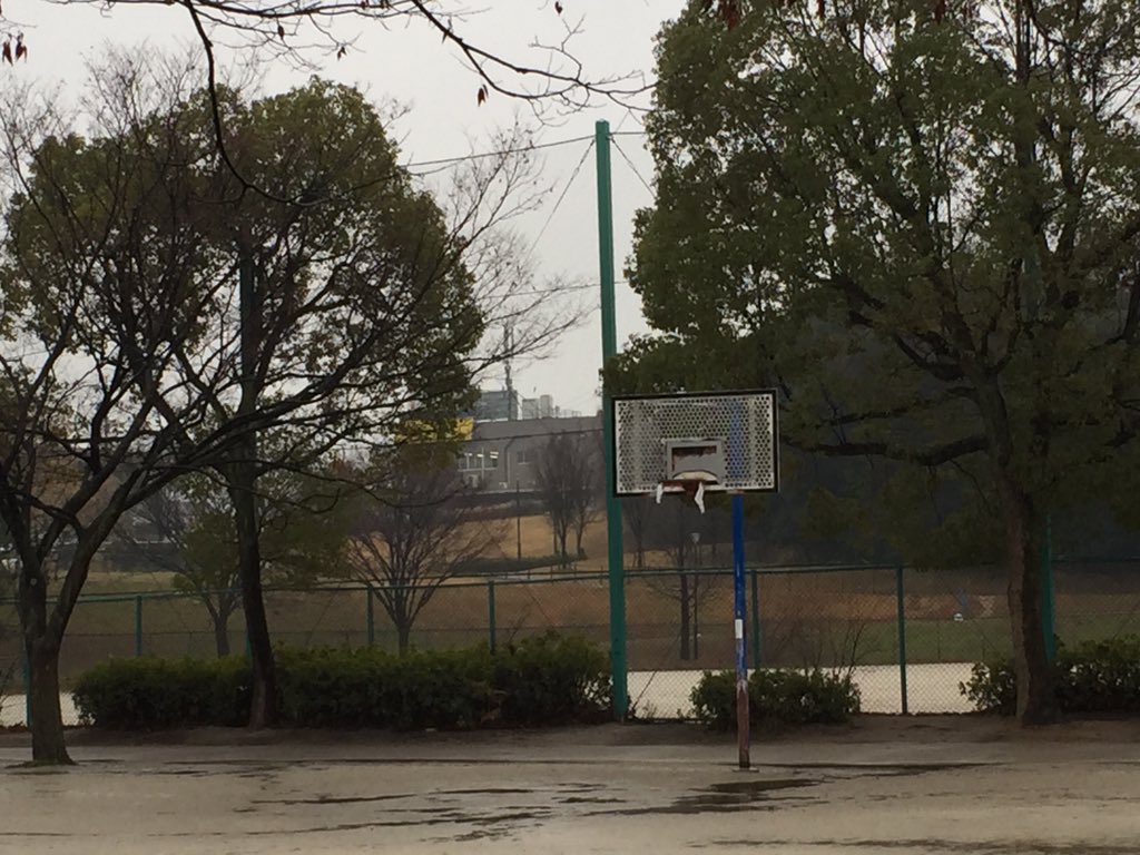 新海 池 公園