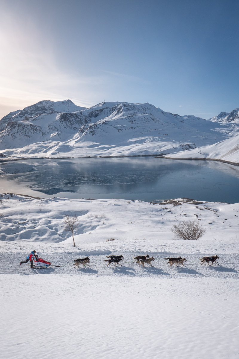 La Grande Odyssée est passée par Val Cenis ! Après une montée de nuit au col du Mont Cenis, les mushers ont continué la courses le long du lac qui commence à geler. C'est terminé pour cette année, rendez-vous l'année prochaine !