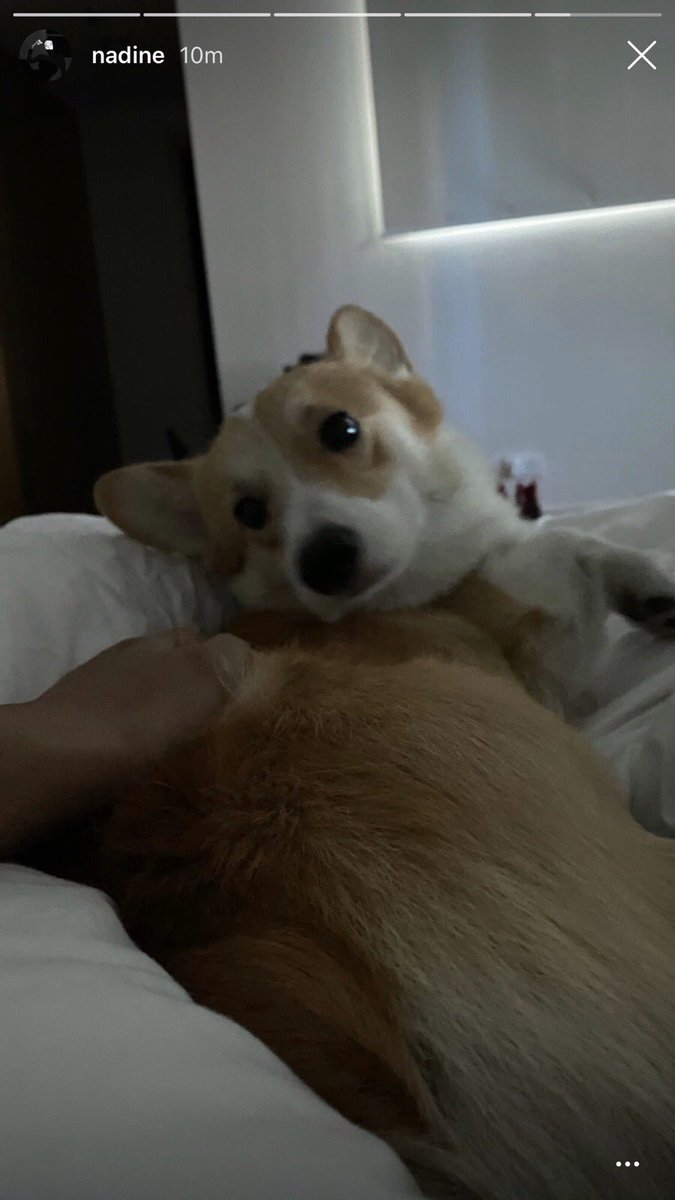 JaDineNATION's tweet photo. Baby Cal looking after Momma #NadineLustre ! Kisses for both of you! 😘📸nadine’s IGS #JaDine https://t.co/fRMpRTAsnL