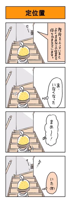 うちのネコは飼い主に優しい。「定位置」#猫漫画 #黒猫 #猫 #ネコ #保護猫 #うちのネコは飼い主に優しい 