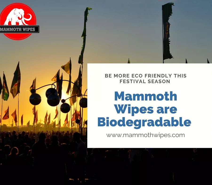 Do your bit this festival season and switch to Biodegradable. #mammothwipes #festivals #biodegradable #ecofriendly #bekind #festivalessentials #gomammoth