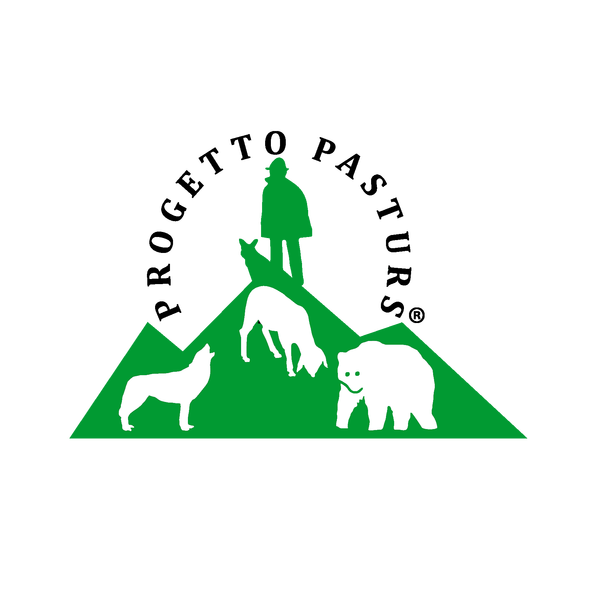 EUROPARC's tweet photo. #Pasturs project promotes coexistence with large carnivores in the #AlpiOrobie supporting #shepherd with #volunteers. More https://t.co/GTsIfibfvg https://t.co/Aj7pNnmQD9