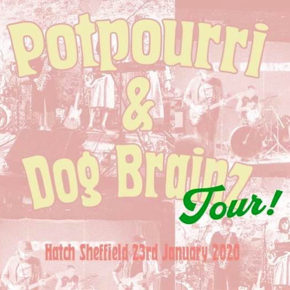 Lovely gig tonight at <a href="/hatch_sheffield/">Hatch</a> - cathartic lo-fi garage pop from Potpourri, Dog Brainz, and Parker Lee. 8sharp 6sug.don. BYOB