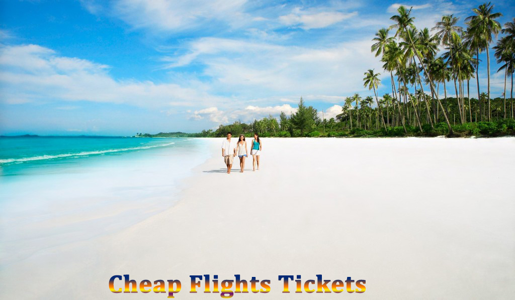 AmericanFlights tweet media