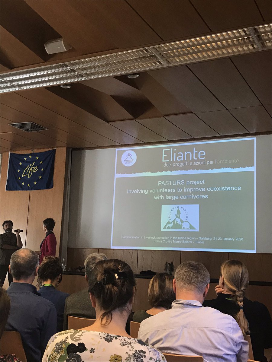 IlaDiSilvestre's tweet photo. #Pasturs project presenting its amazing results using volunteer shepherds to facilitate coexistence with large carnivores: zero predations in 4 years! https://t.co/CfSZpZl9nV