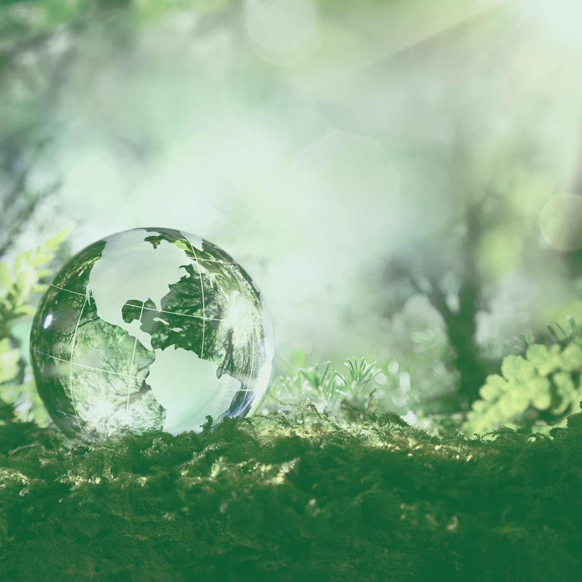 Wist u dat uw bedrijf of instelling verplicht is maatregelen te treffen voor #energiebesparing die binnen 5 jaar terugverdiend kunnen worden? En daar is nog een wettelijke verplichting bijgekomen. Wij adviseren en helpen u hier graag bij #verduurzamen giesbersservicebouw.nl/verduurzaming