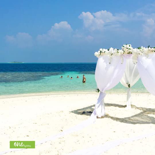 Stretnete nás na ITF
ITF SLOVAKIATOUR @ Incheba ExponArena, Bratislava, Slovakia
23-26 January 2020
Hall B2, Stand 310

#itfslovakia2020 #itfslovakiatour #expo #onestepholidays