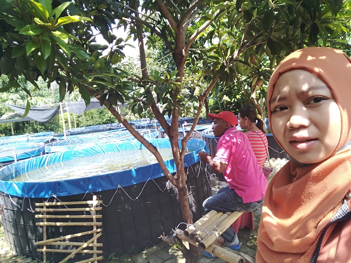 GarlinMaharani's tweet photo. Tetap Strong Pendampingan &amp; pendataan Pelaku Perikanan oleh PPB Kab. Kediri di Kec. Mojo @puslatluhkp  @lapregiwati https://t.co/u4uhlsEkSA
