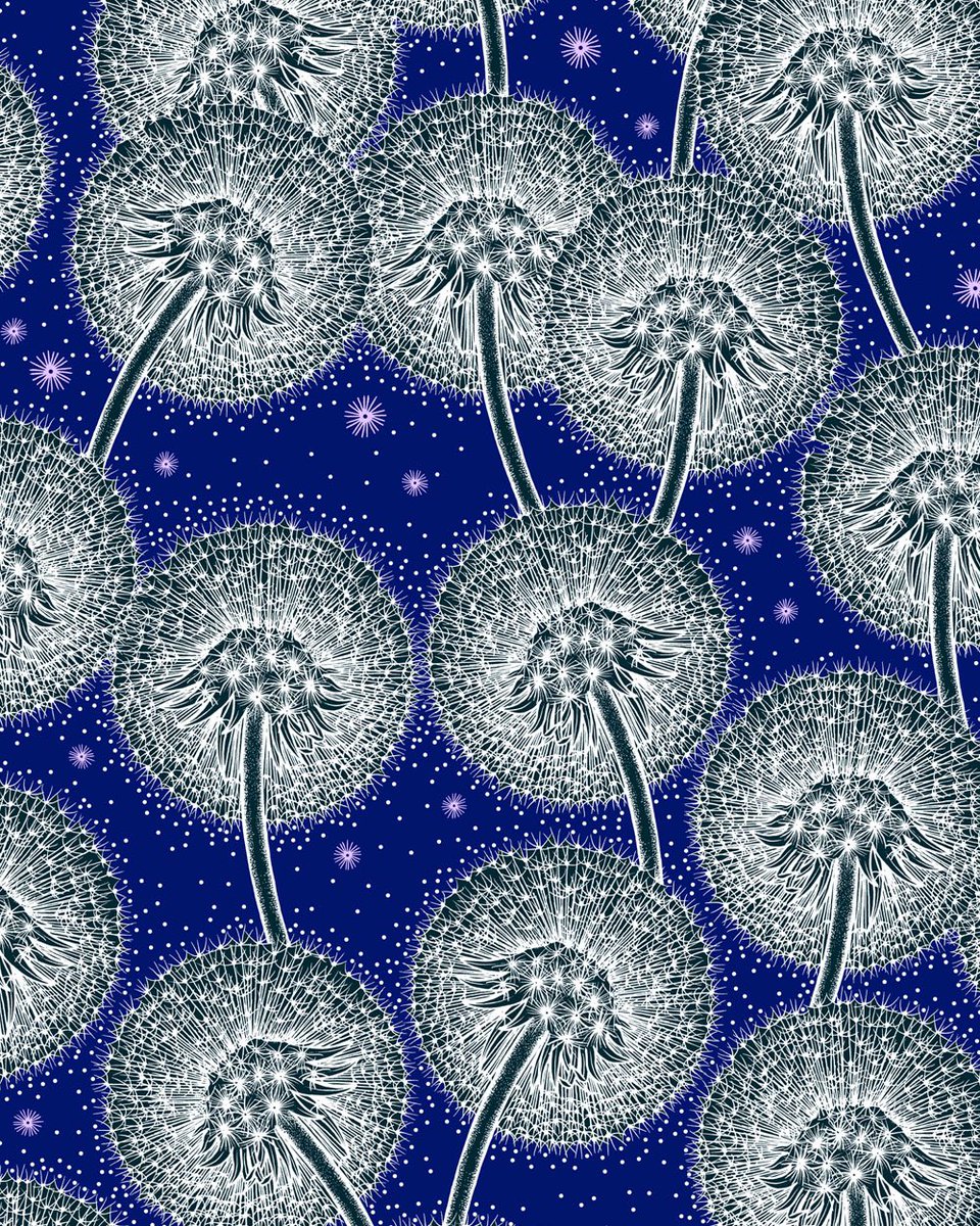 Midnight Blue 🌬 #thursdayvibes #nature #dandelion