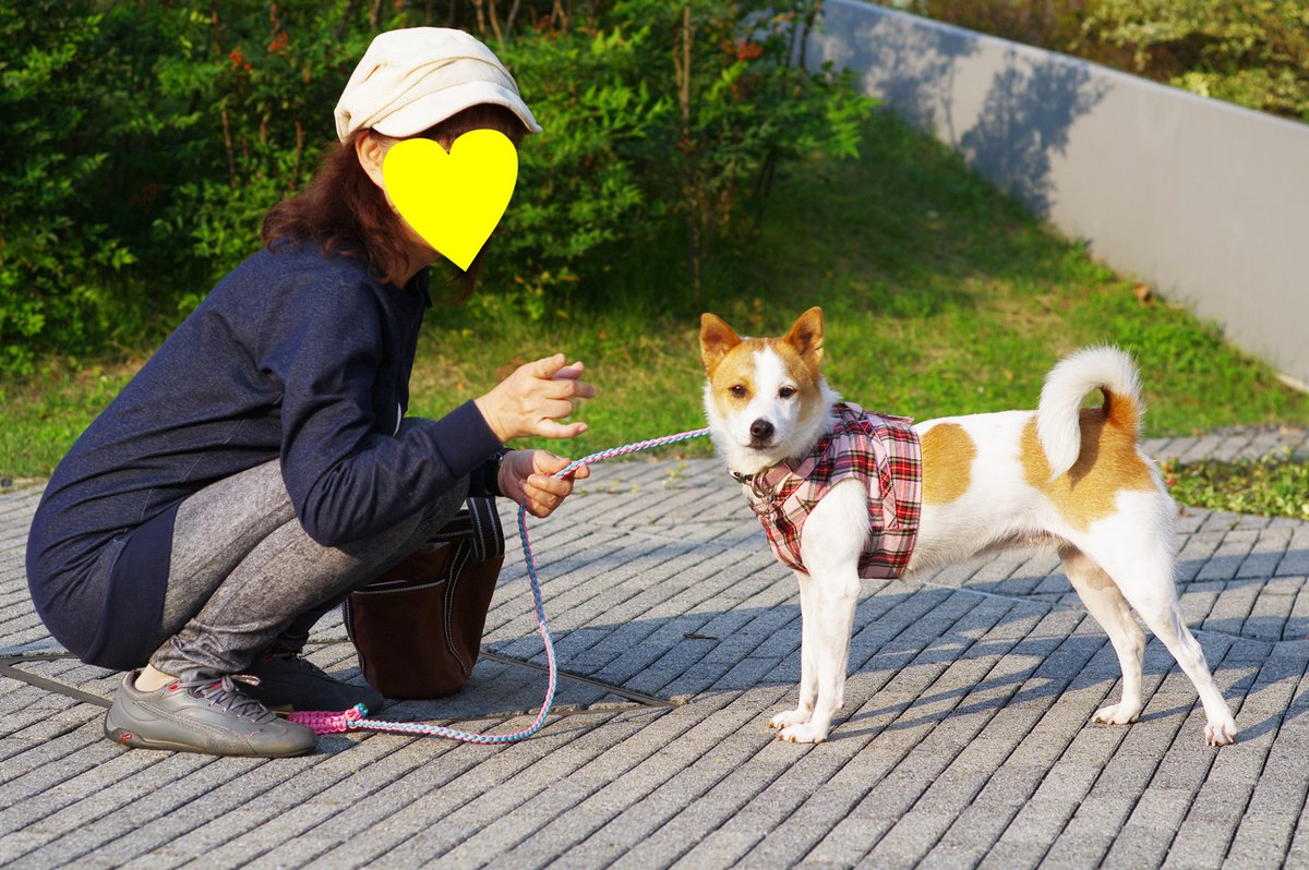 はぐれ＆けやき tweet media