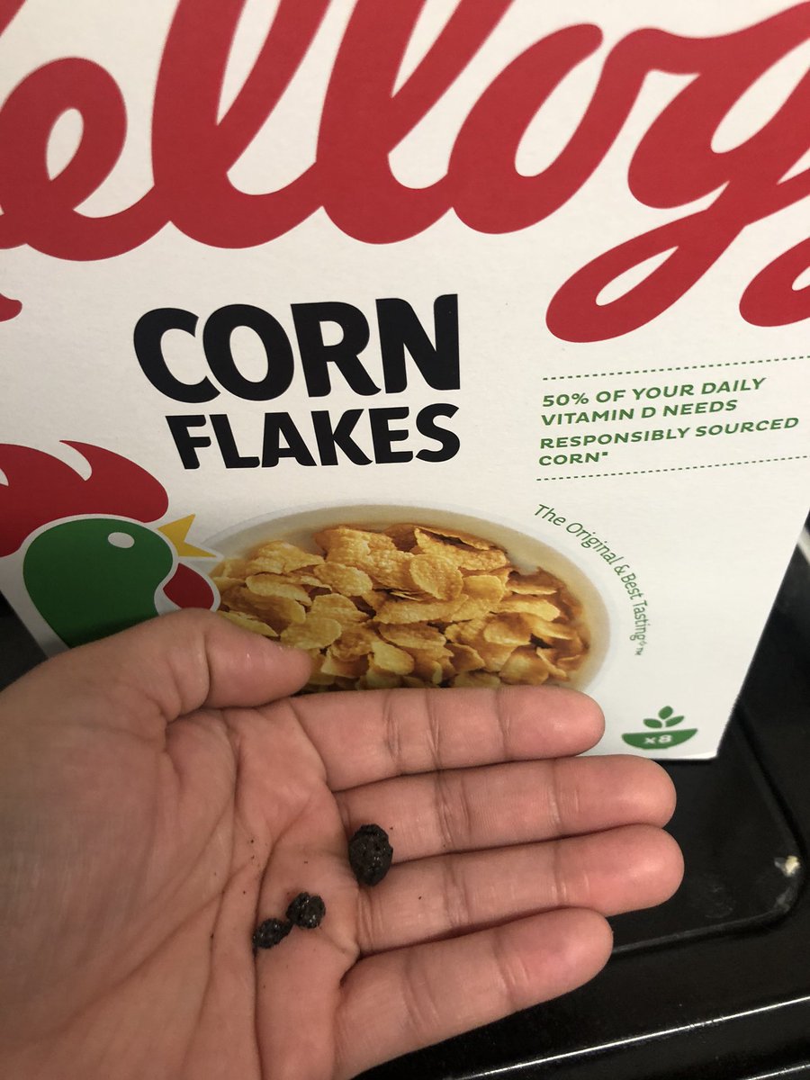 WyldeChloe's tweet photo. @KelloggsUS can you please tell me what the cluck this is in my cornflakes? 😑 https://t.co/GXXhE0cPcO