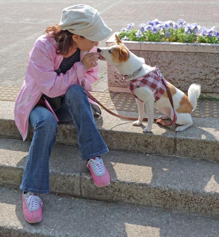 はぐれ＆けやき tweet media