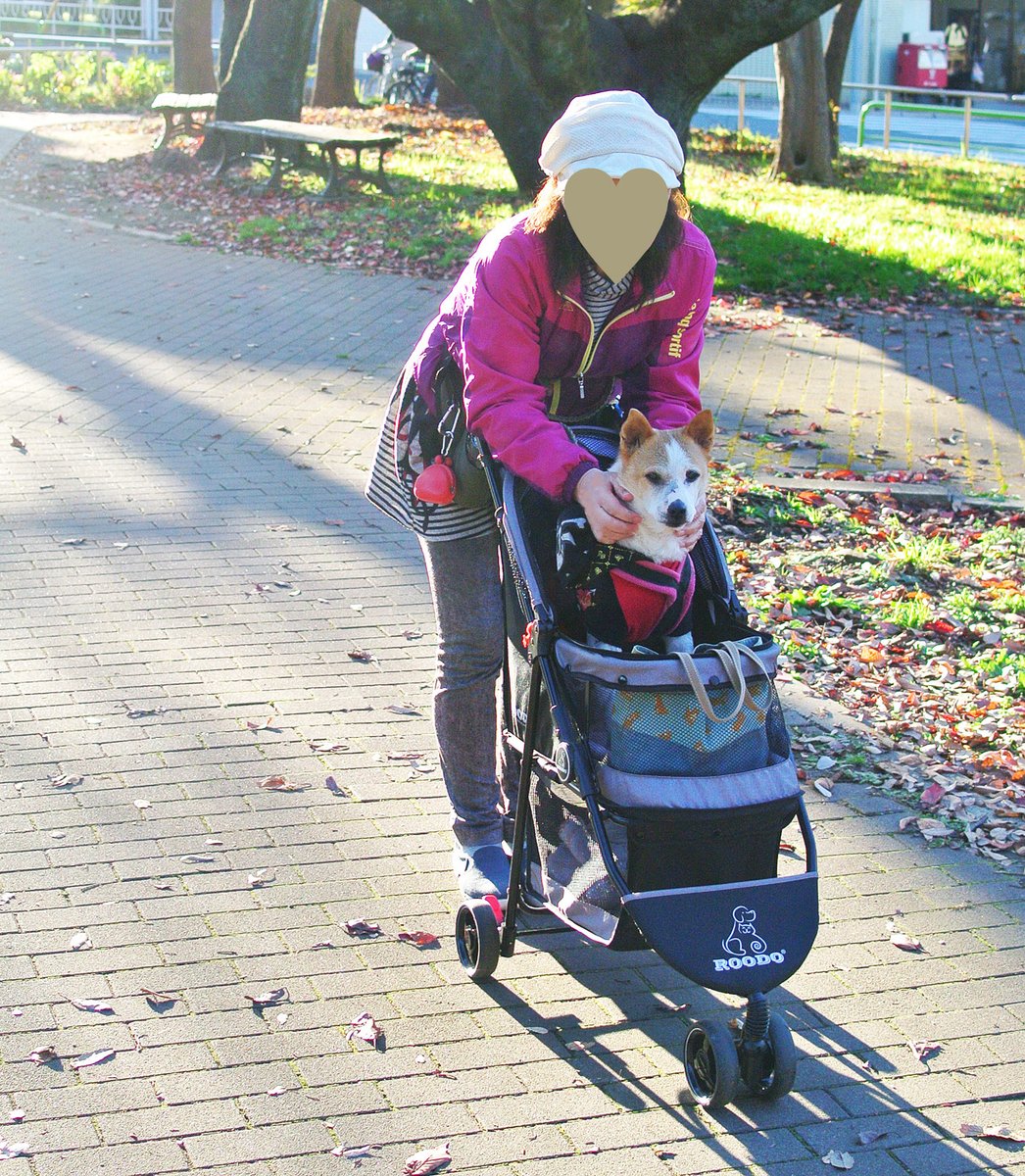 はぐれ＆けやき tweet media