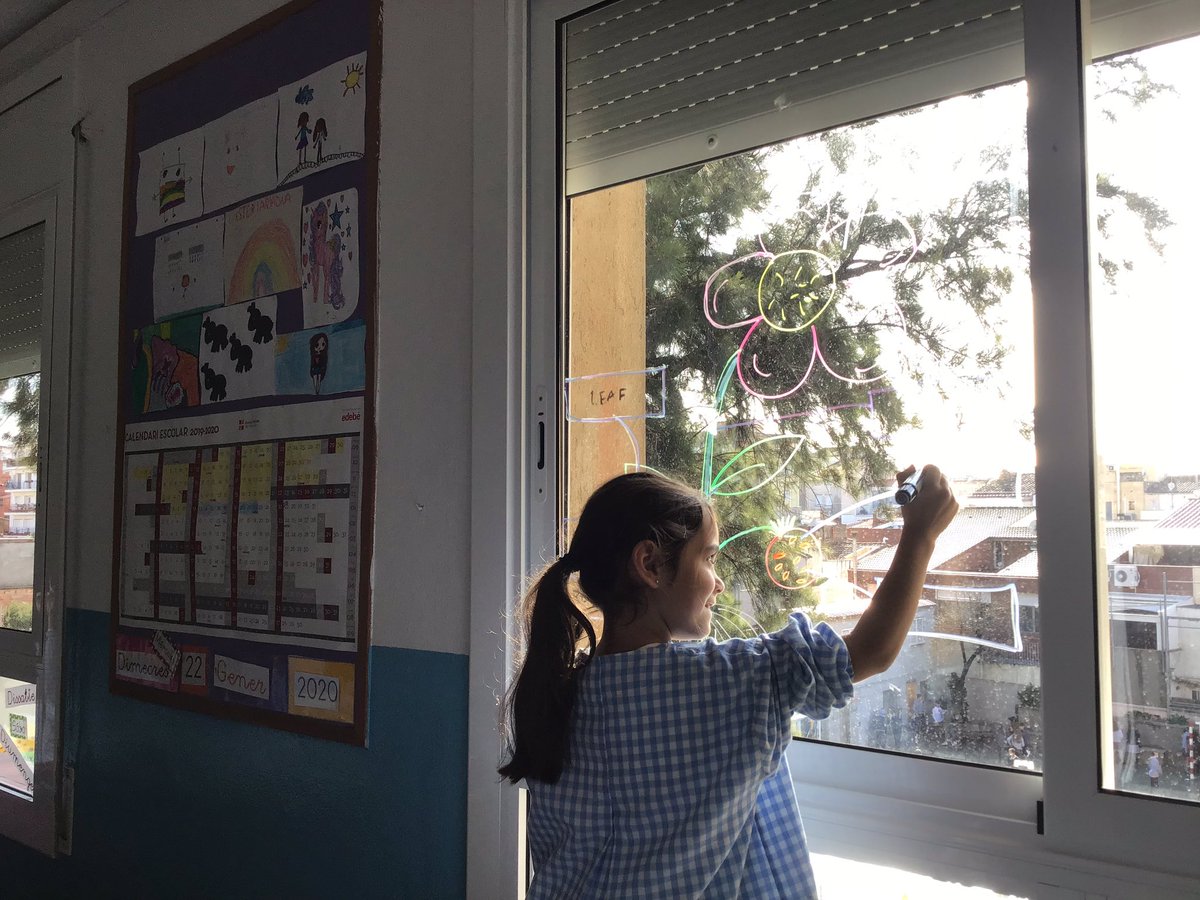 mercedaries's tweet photo. Parts of a plant in the window. We love Science!
#fsf2prim #science https://t.co/jZ8AbhxK9d