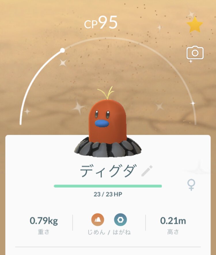 트위터의 アローラディグダ 해시태그 트위터의 アローラディグダ 해시태그