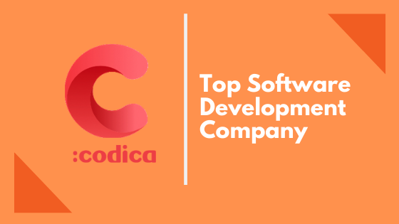 Top Software Development Company At GoodFirms