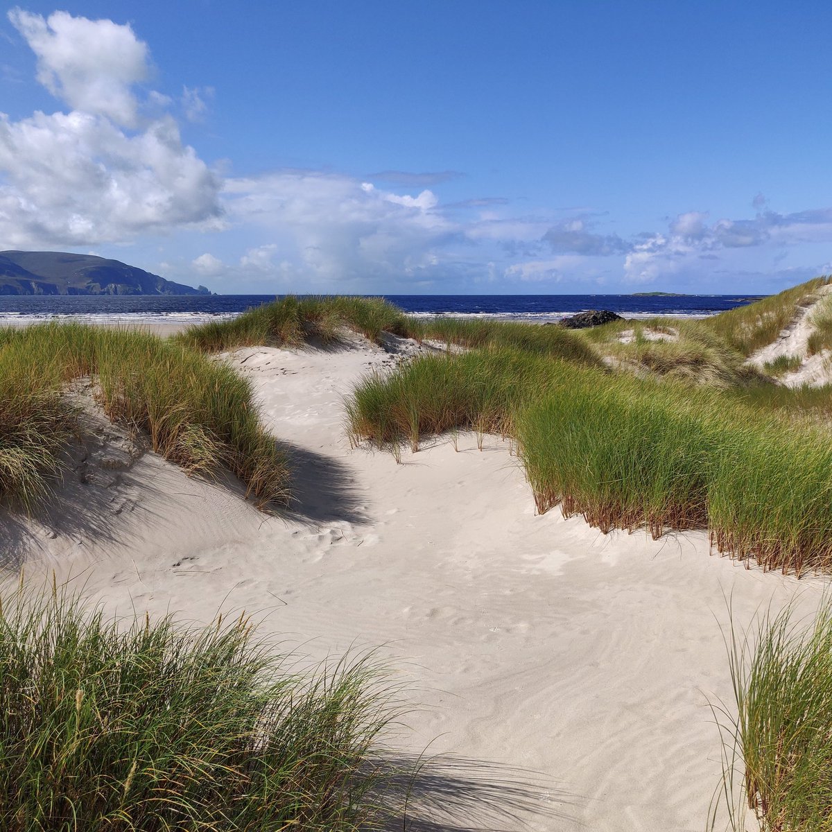 govisitdonegal's tweet photo. The hidden treasure that is Tramore Beach between Rosbeg and Ardara is backed by acres of sand dunes, lake and marsh that make up the Sheskinmore Lough Nature Reserve. #thursdayinspiration #donegal #beaches #beach #govisitdonegal #100daysofwalking https://t.co/L0P0iacpmg