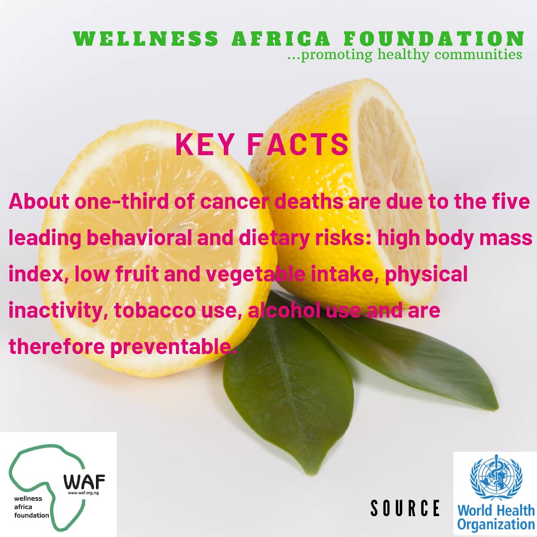 WAFonline's tweet photo. As #WorldCancerDay approaches join Wellness Africa Foundation on February 4, 2020 in raising awareness around communities in #Abeokuta, #OgunState
#IAmAndIWill
#SDG2030
#iSupportSDG3 https://t.co/2jvEfpxZax